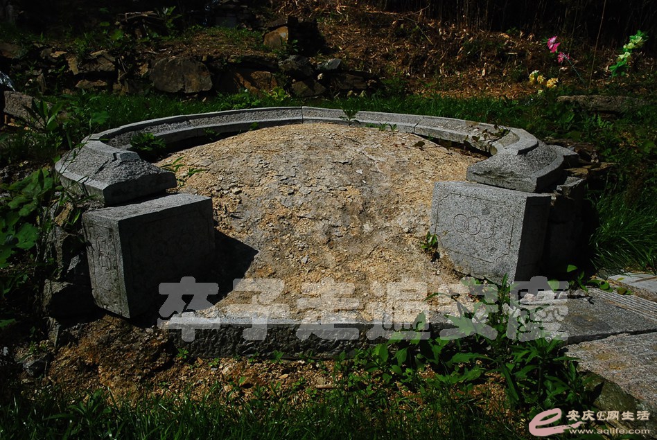 DSC_0538.jpg