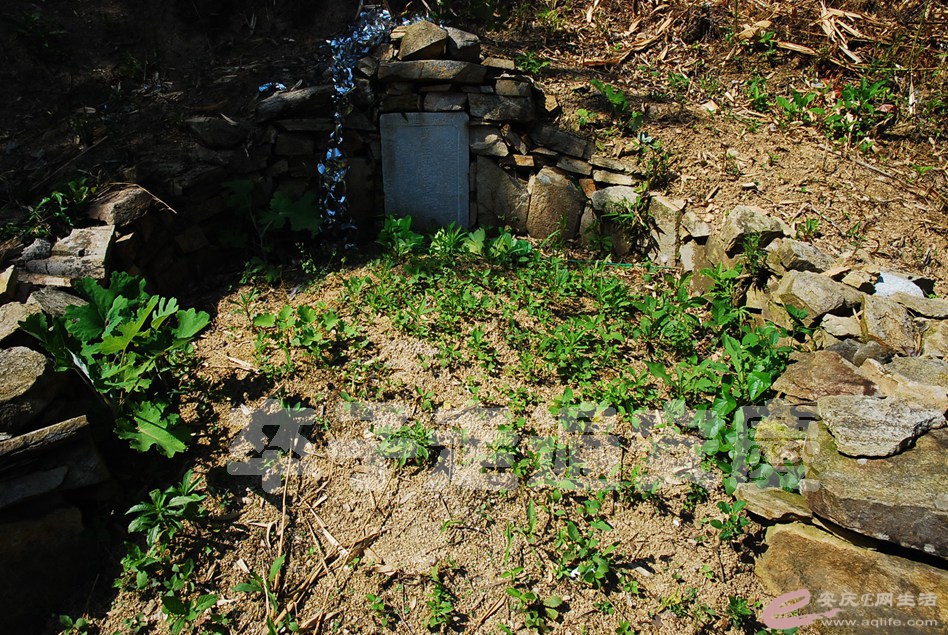 DSC_0541.jpg