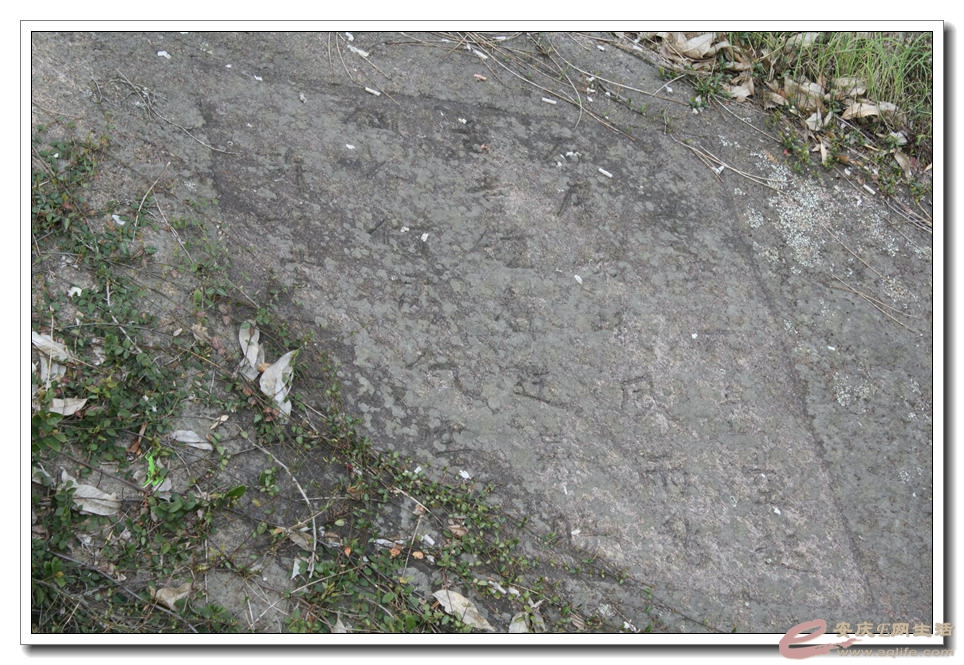 20150328 315.jpg