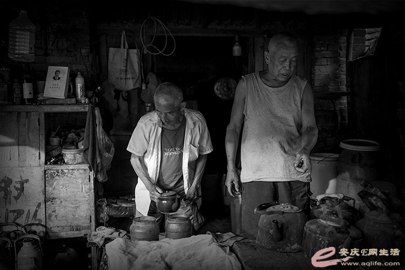 D75_06080.jpg