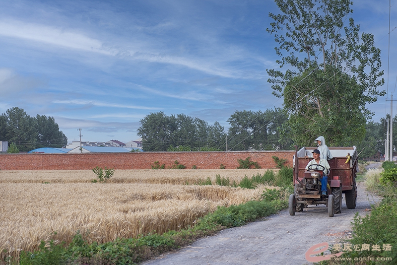 D75_0959.jpg