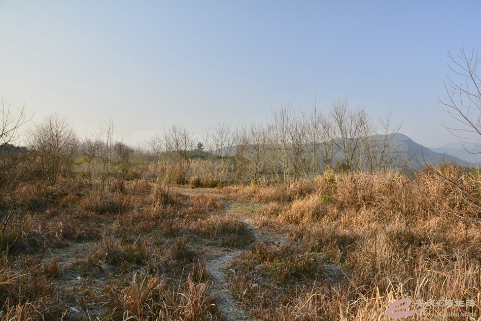 20170121 057.jpg