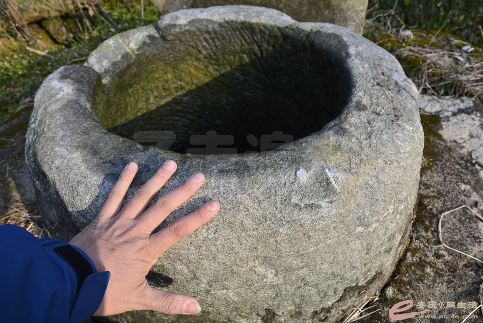 20170121 065.jpg