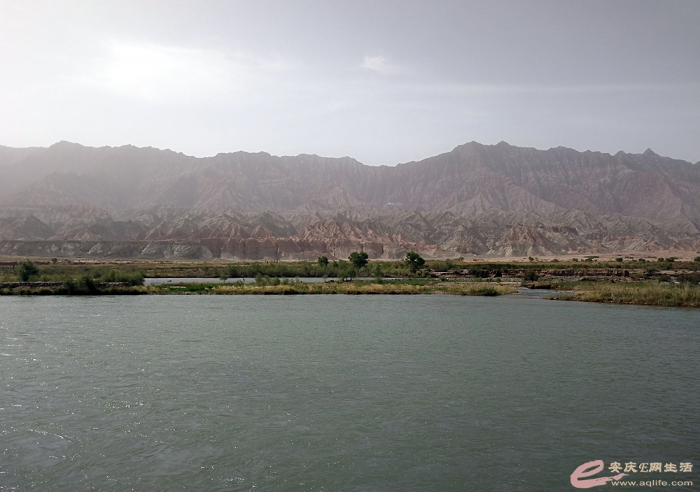 IMG01ݳľ_20210525_111904.jpg