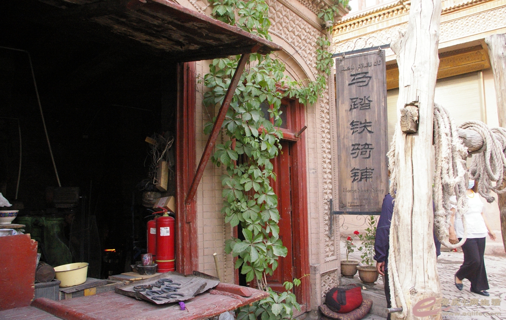 IMGP1029ͳ.JPG