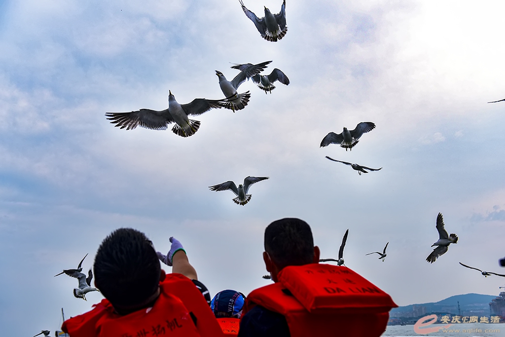 DSC_81880000.jpg