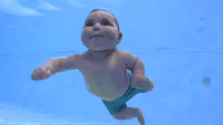 1626312162534522227.gif
