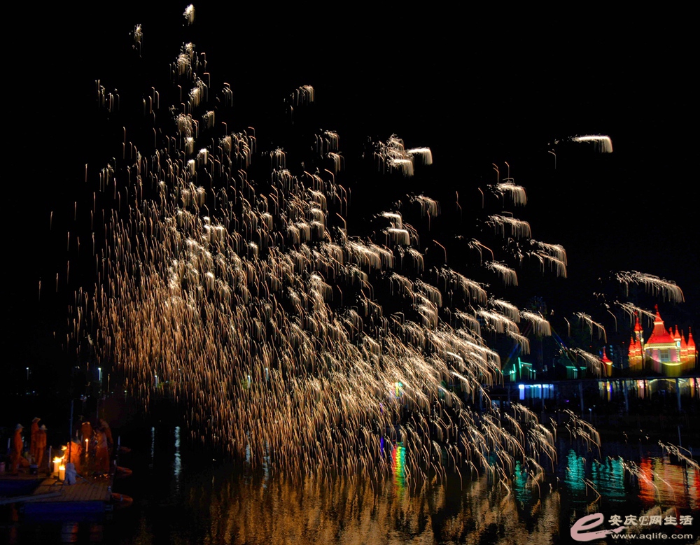 DSC_2533__.jpg