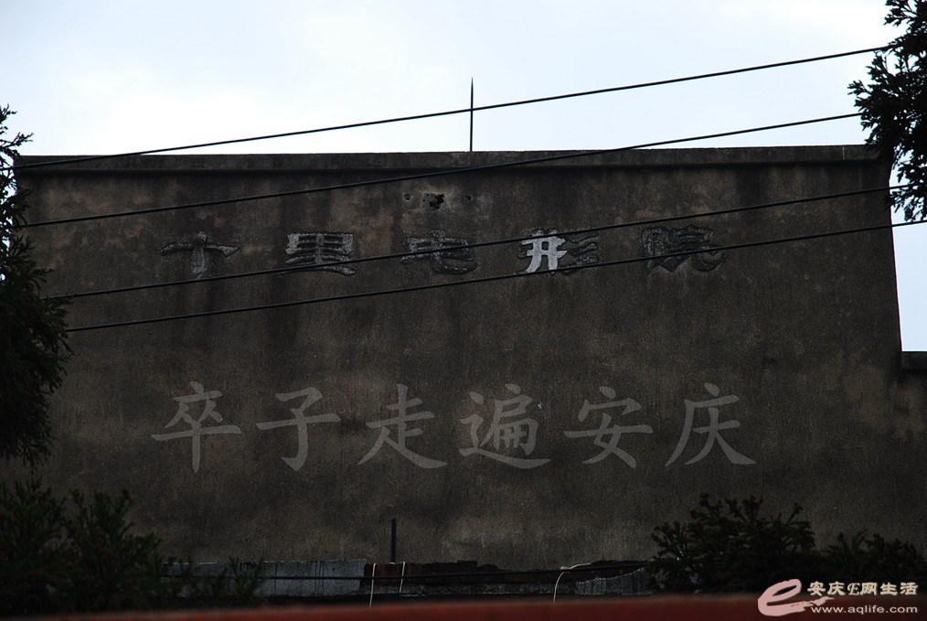 DSC_2745.jpg
