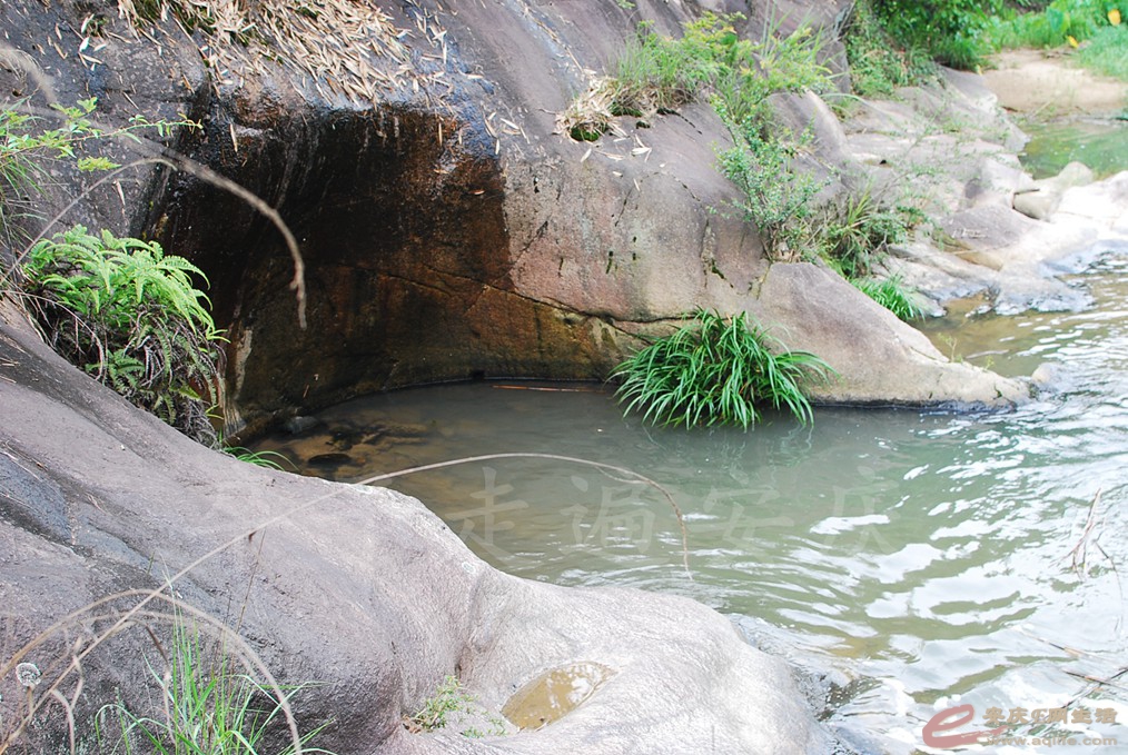 DSC_8204.jpg