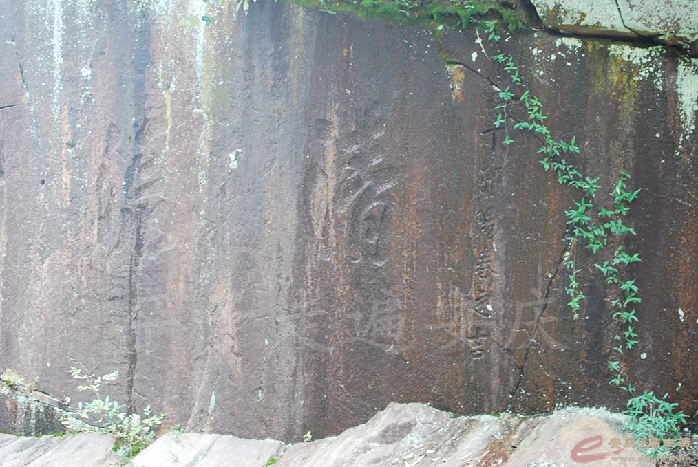 DSC_8219.jpg