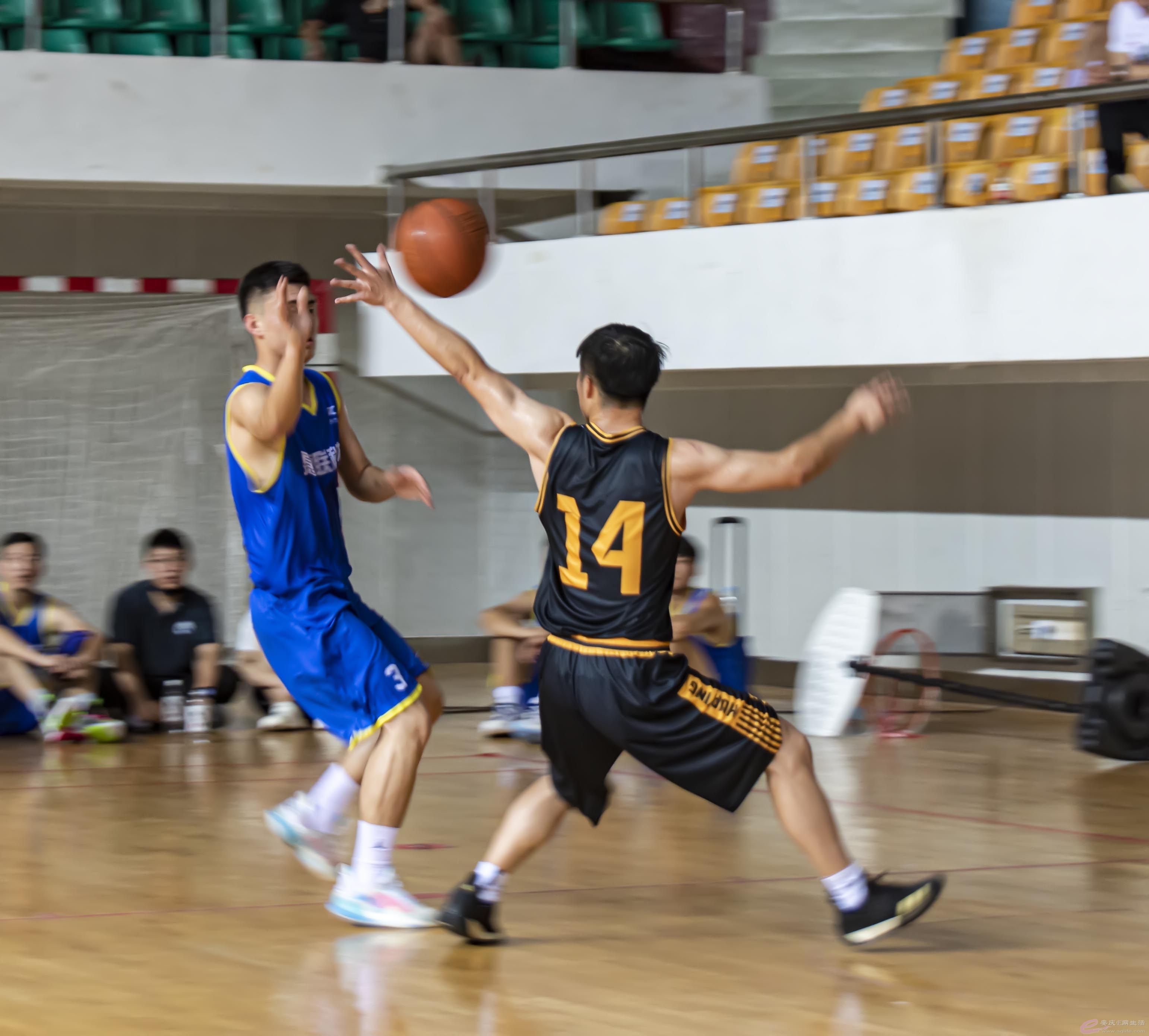 DSC_0117.jpg
