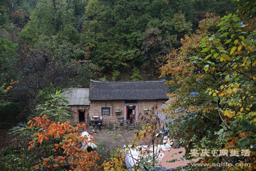 3f7177cf-8fe3-406c-ae0c-2cf7d3b26fee.jpg