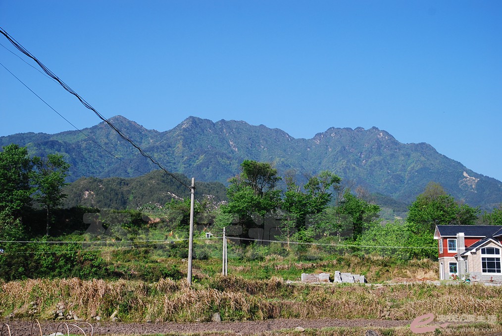 DSC_4857.jpg
