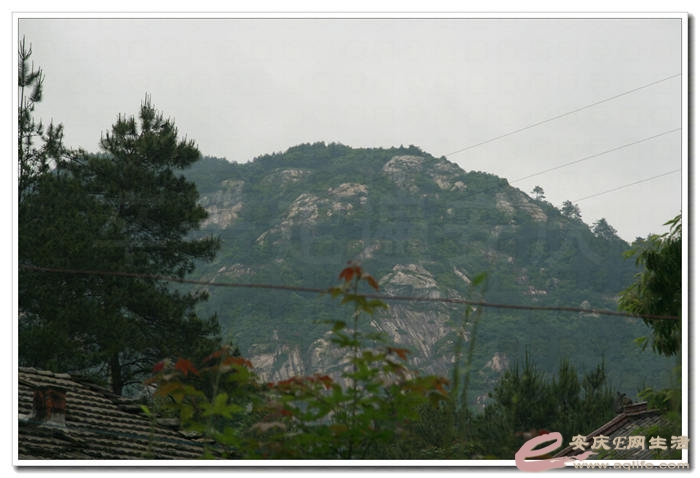20140524 017.jpg