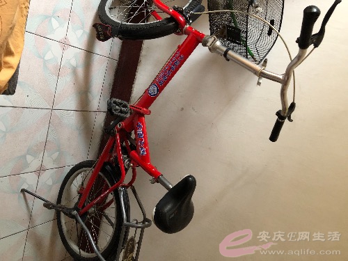 45D46D81-FAF7-4566-AF87-907BA7A452AC.jpeg