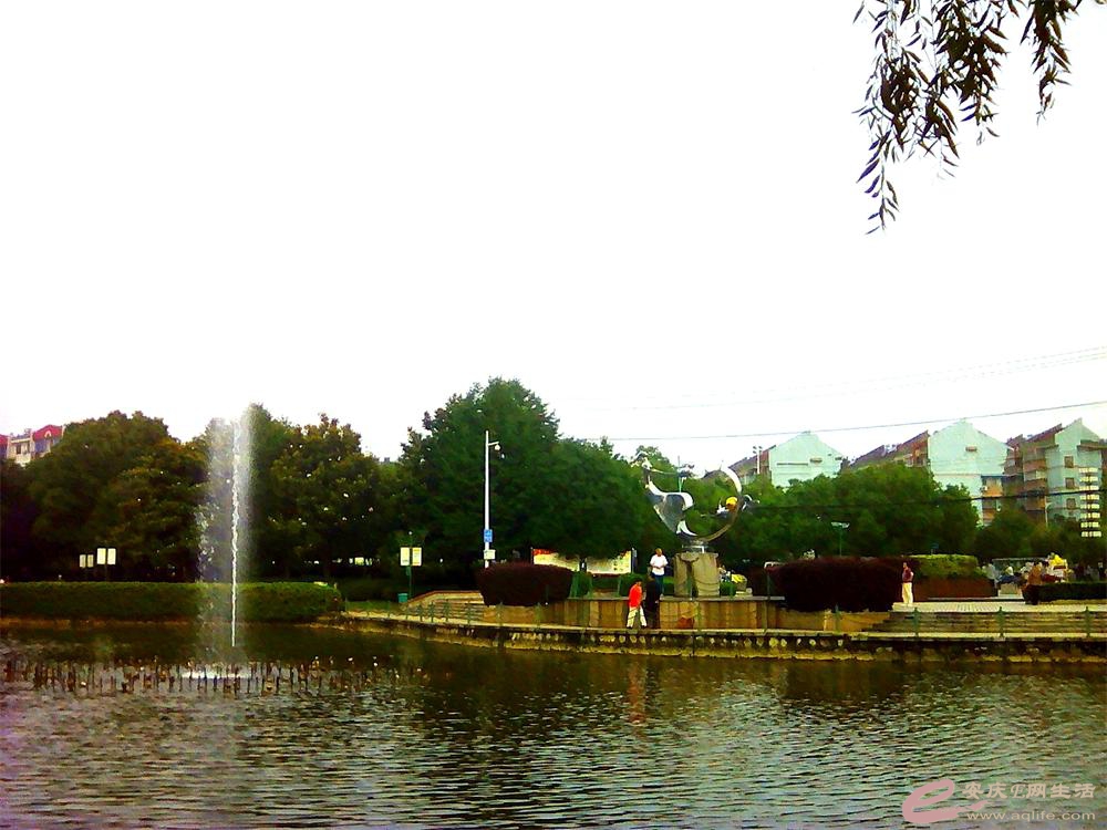 IMG_20160613_065502_659_ͼ.jpg