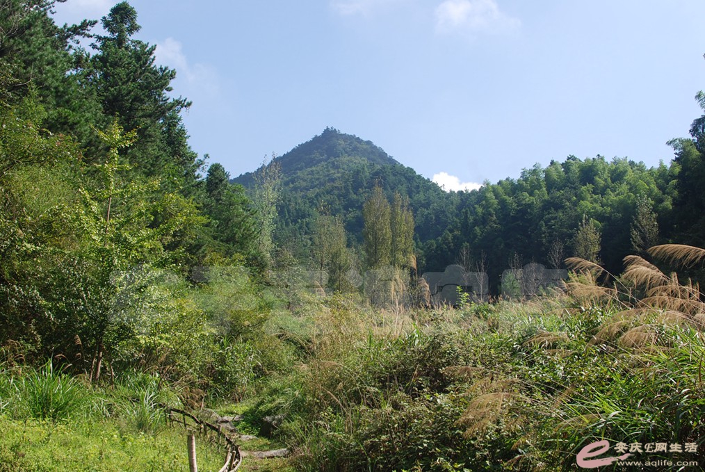 DSC_807.jpg