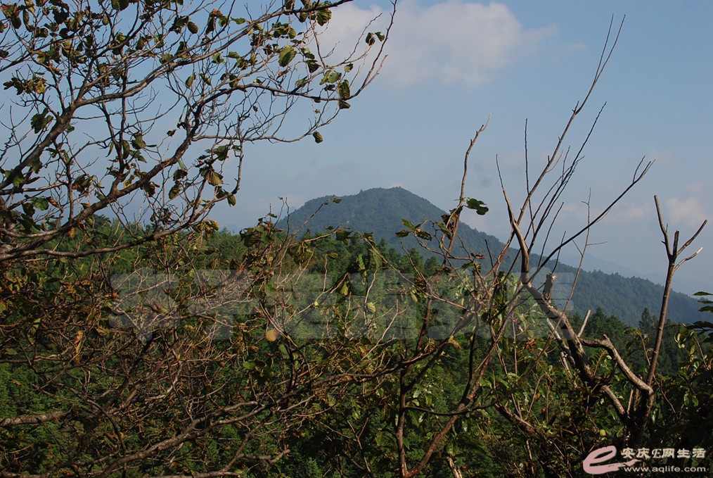 DSC_8571.jpg