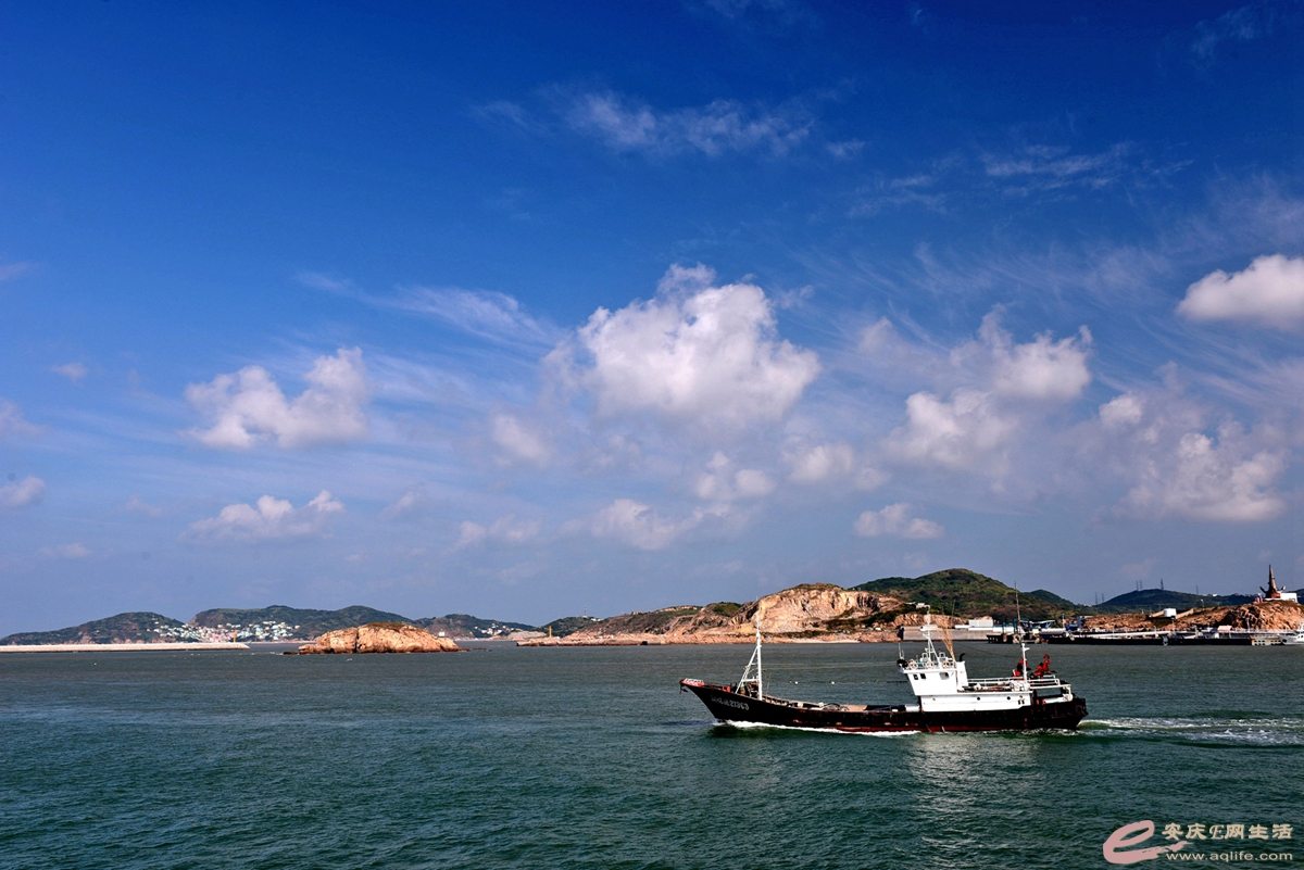 D81_8620__.jpg