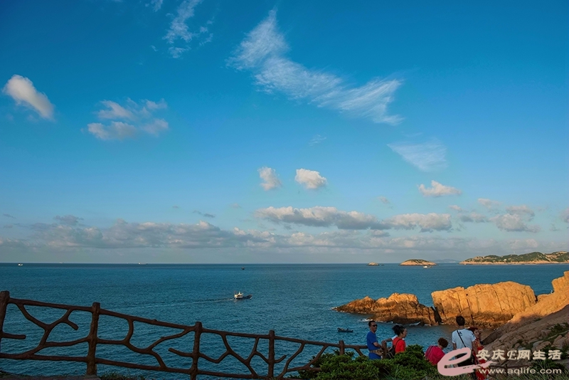 D81_2470.jpg