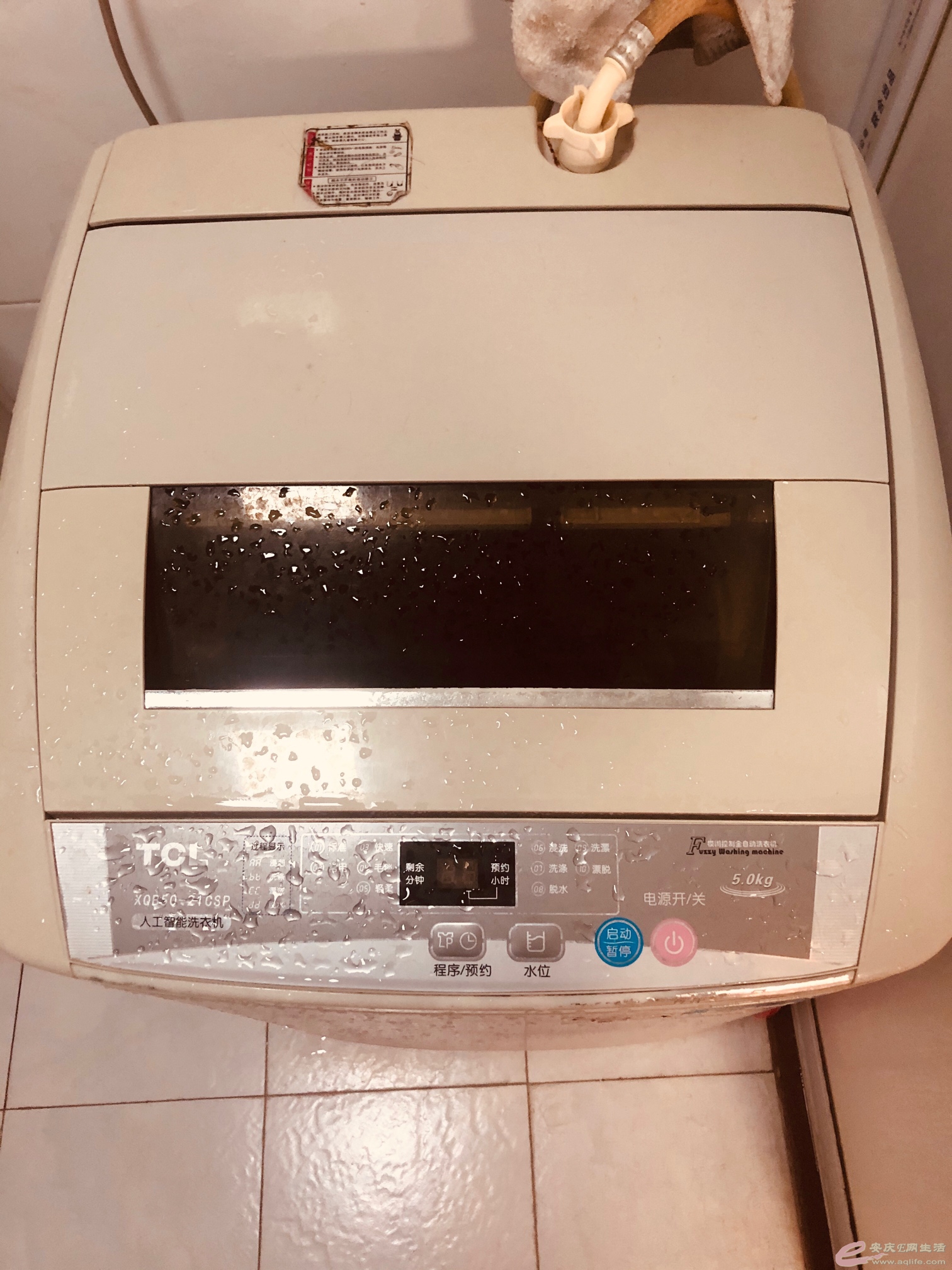 163366425417258446.jpg
