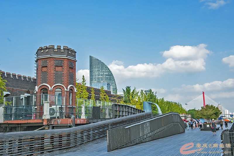 D81_3076.jpg