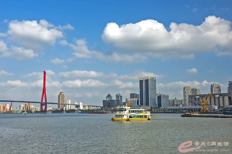 D81_3095.jpg