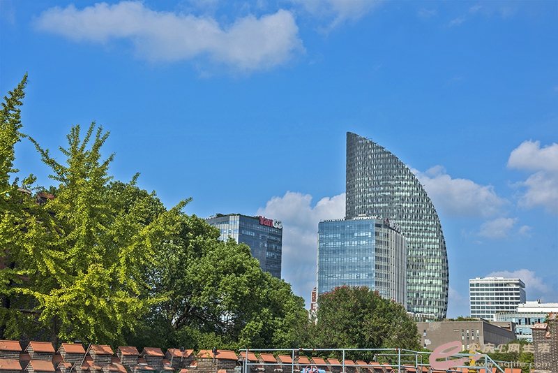 D81_3085.jpg
