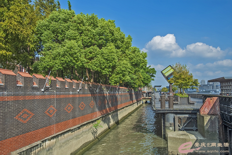 D81_3073.jpg