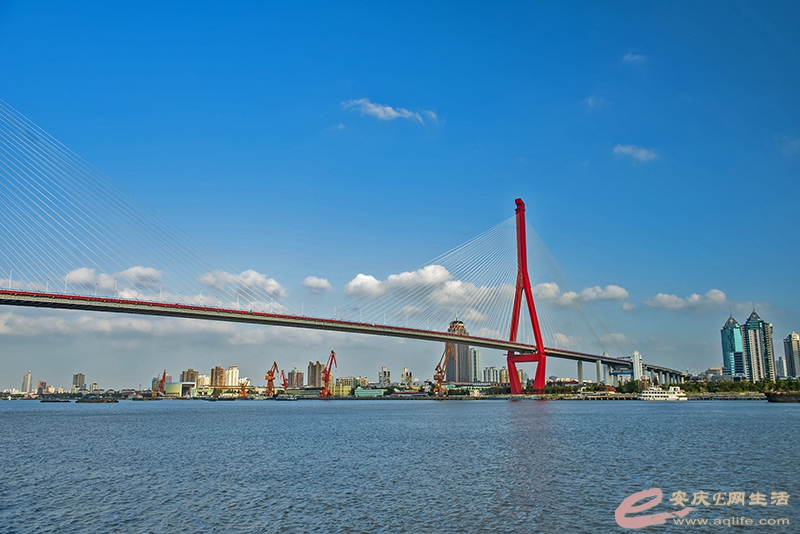 D81_3148.jpg