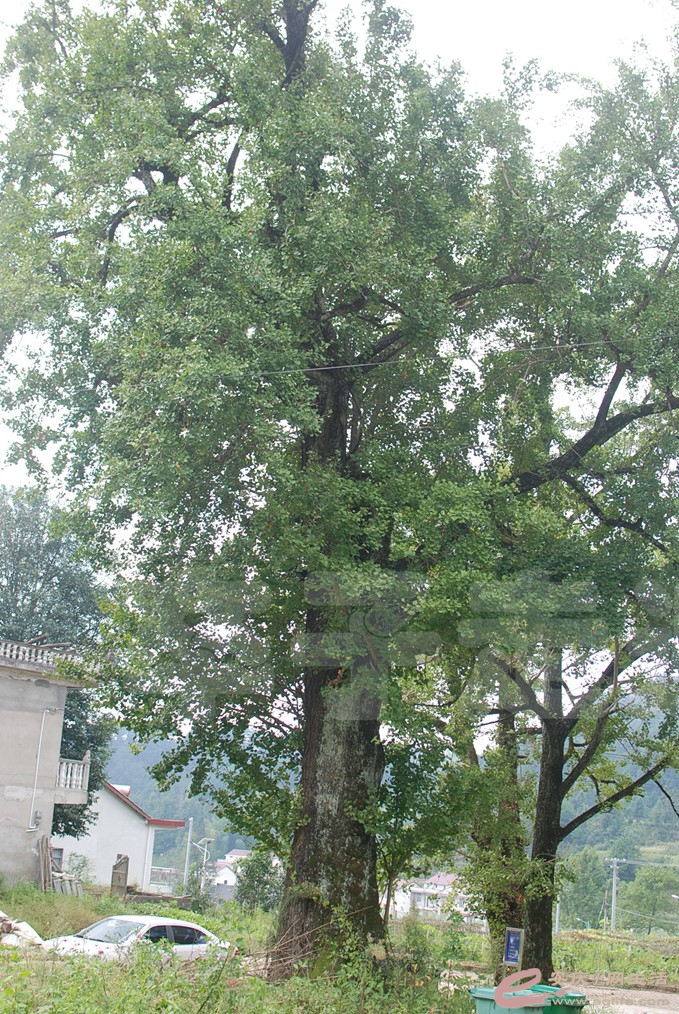 DSC_8649.jpg