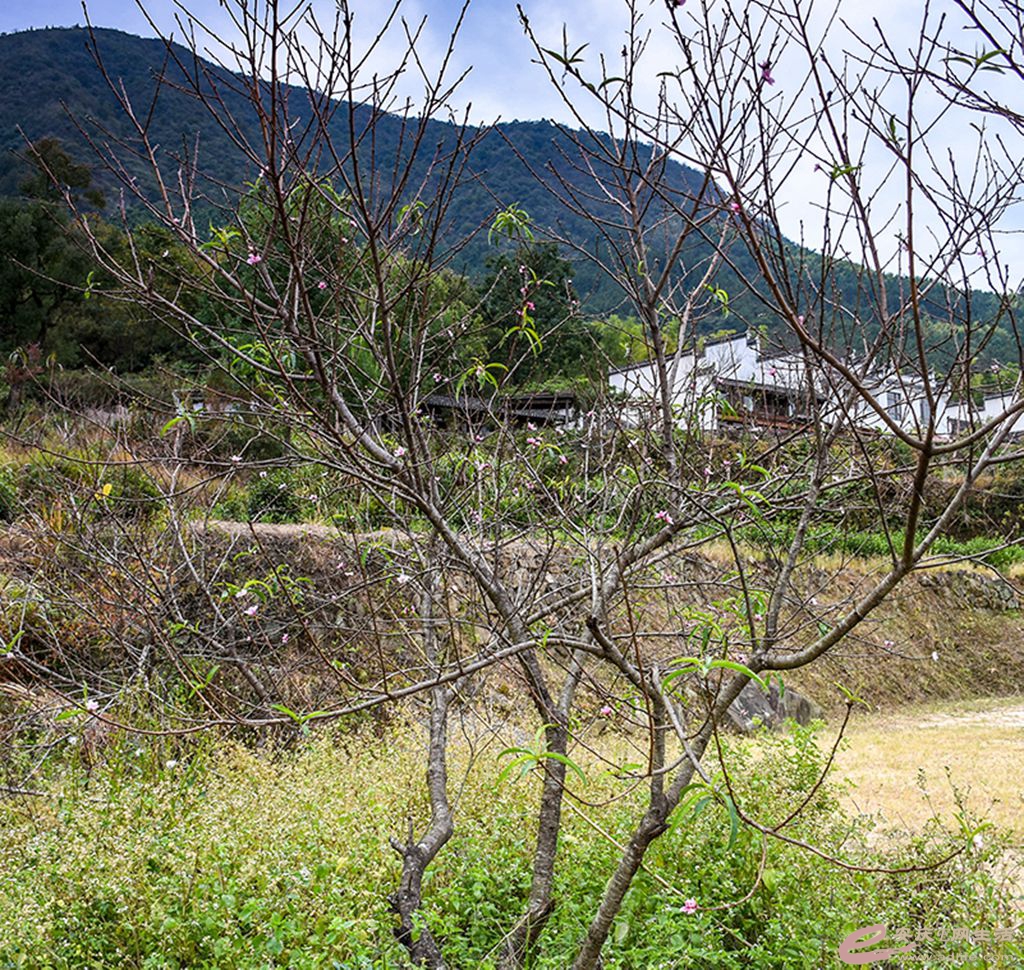 DSC_7200.jpg