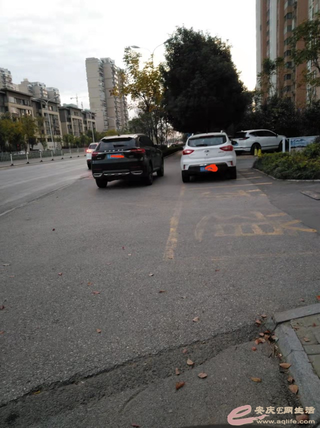 1637035393841734.jpeg