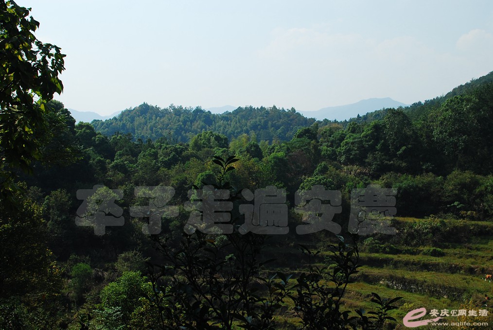 DSC_0183.jpg