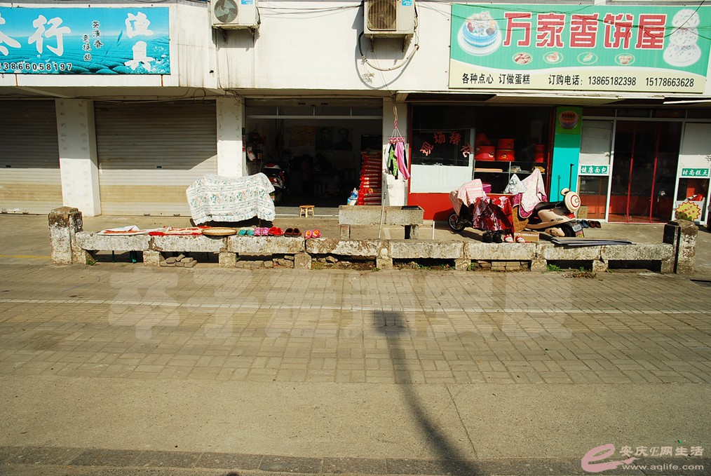 DSC_9627.jpg