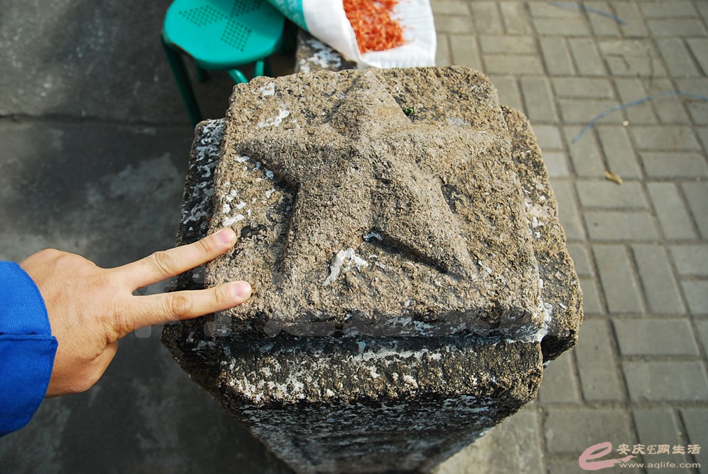 DSC_9638.jpg