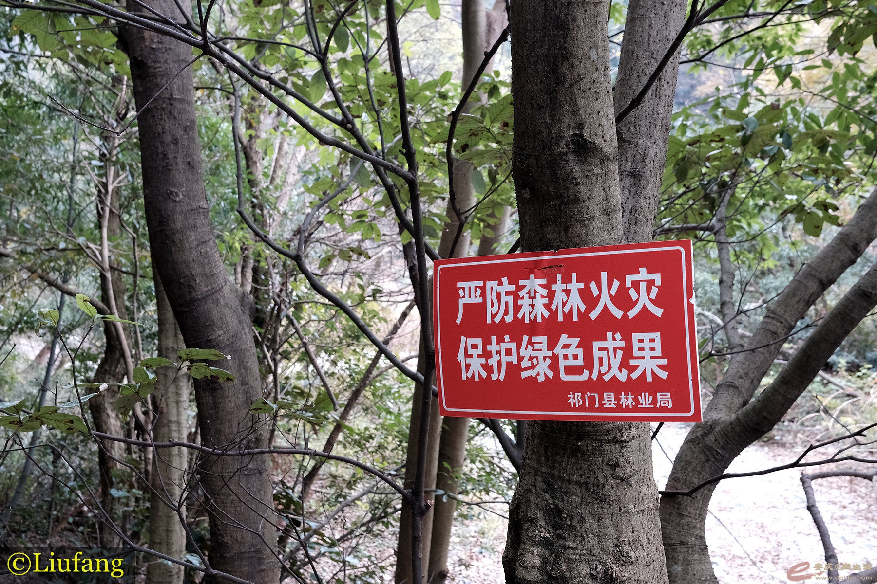 DSCF4075_.jpg