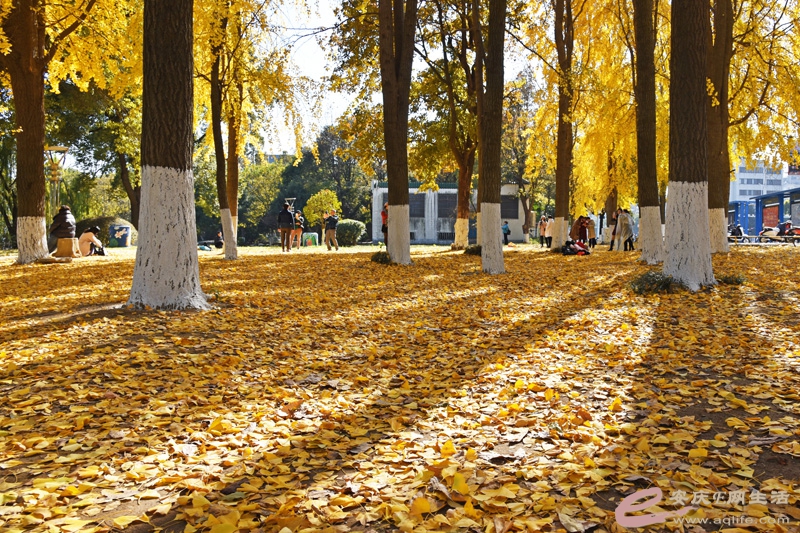 DSC_2486-800.jpg