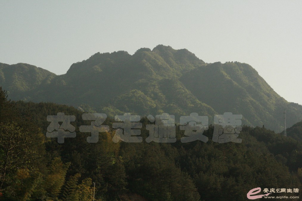 20170430 055.jpg
