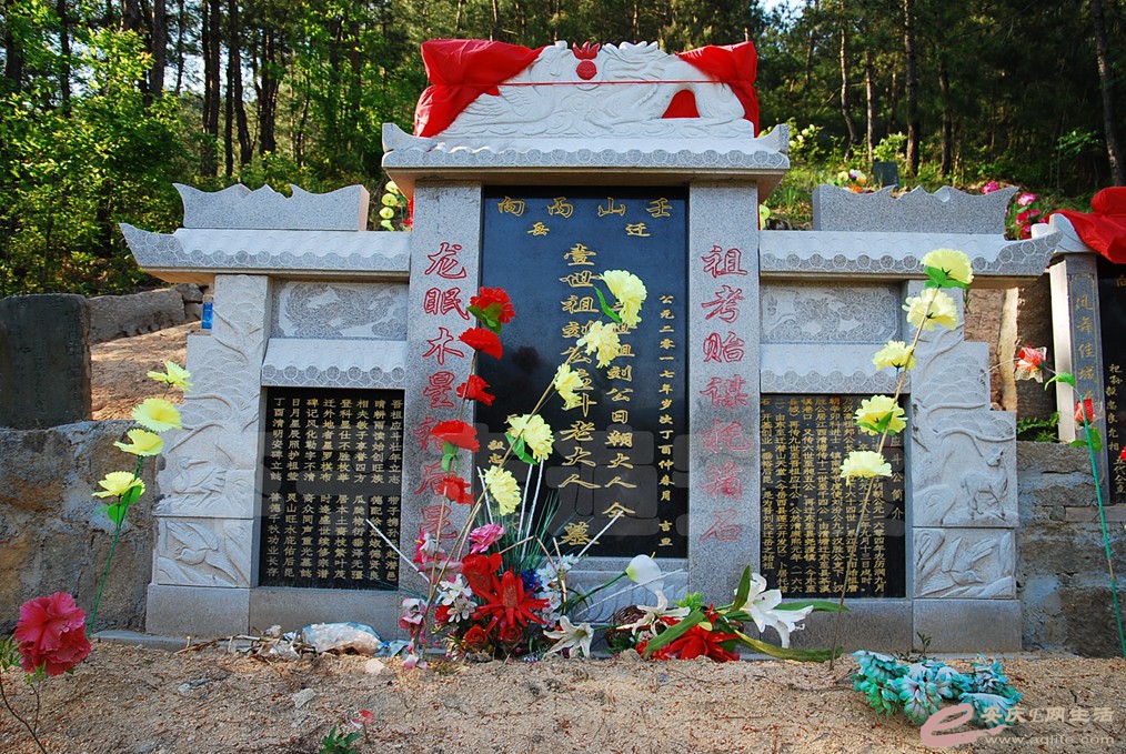 DSC_4668.jpg