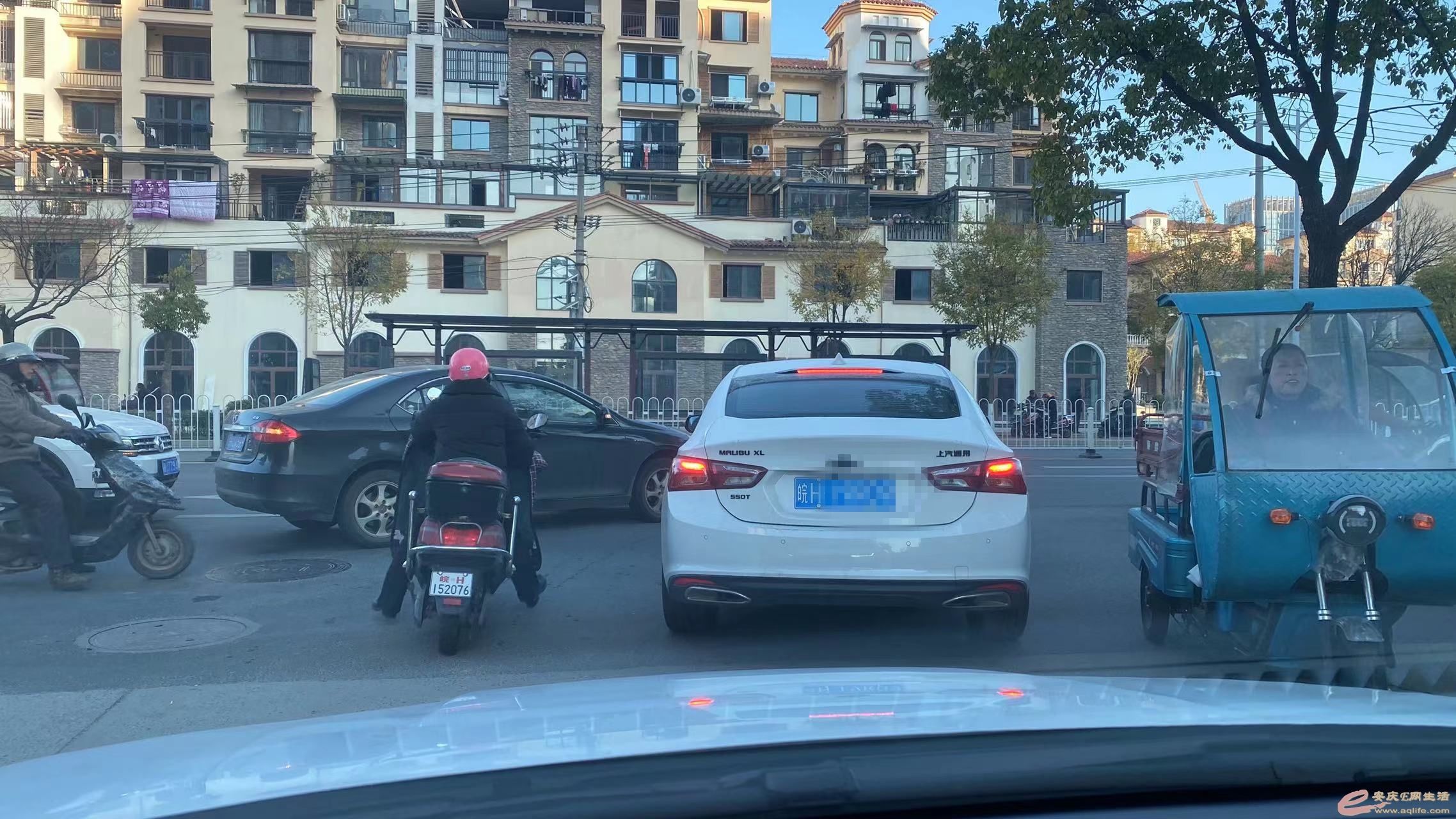 083908wqqc3s4kaqzaql0l.jpg