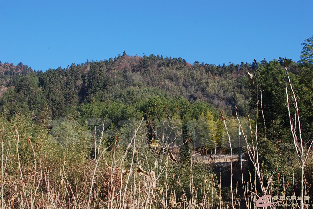 DSC_9292.jpg