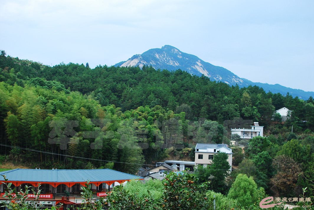 DSC_9121.jpg