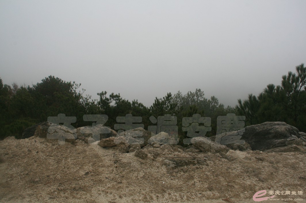20161112 141.jpg