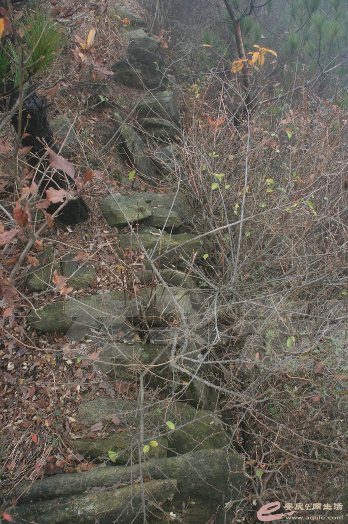 20161112 160.jpg
