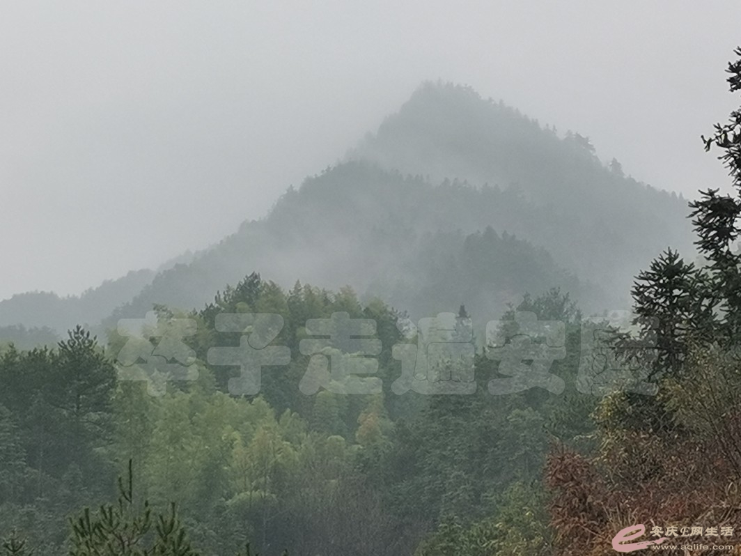 DSC_9271.jpg