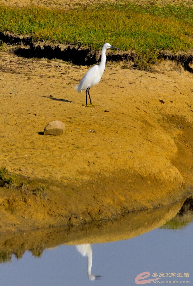_DSC6853.JPG