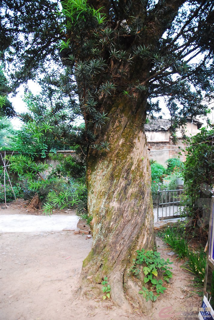 DSC_8682.jpg