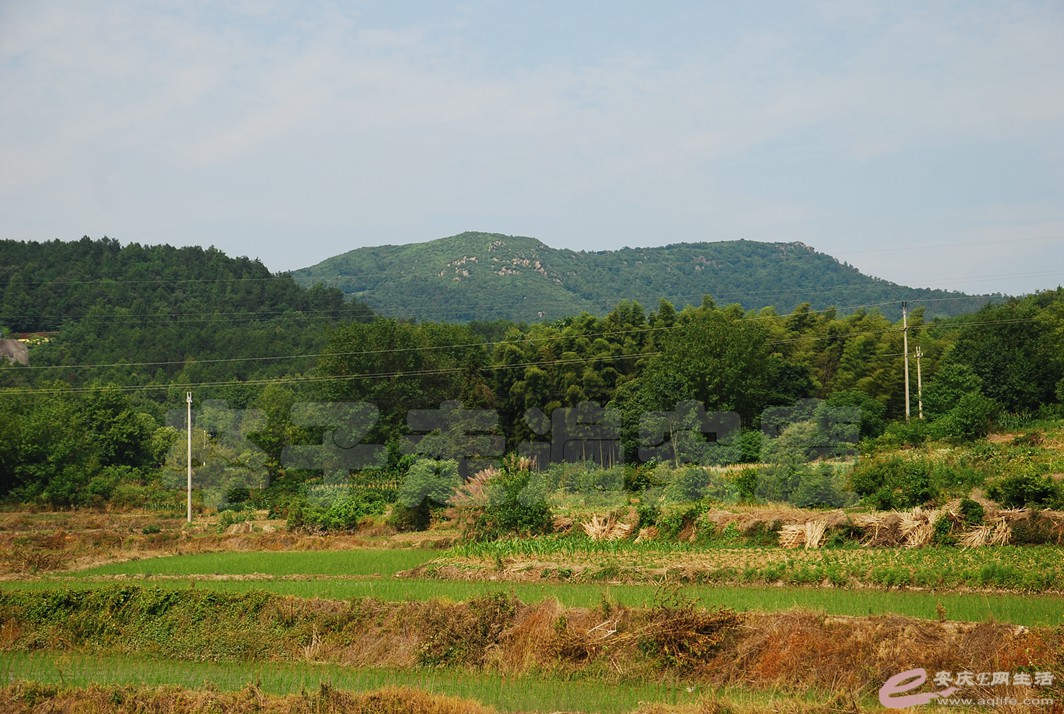 DSC_8658.jpg